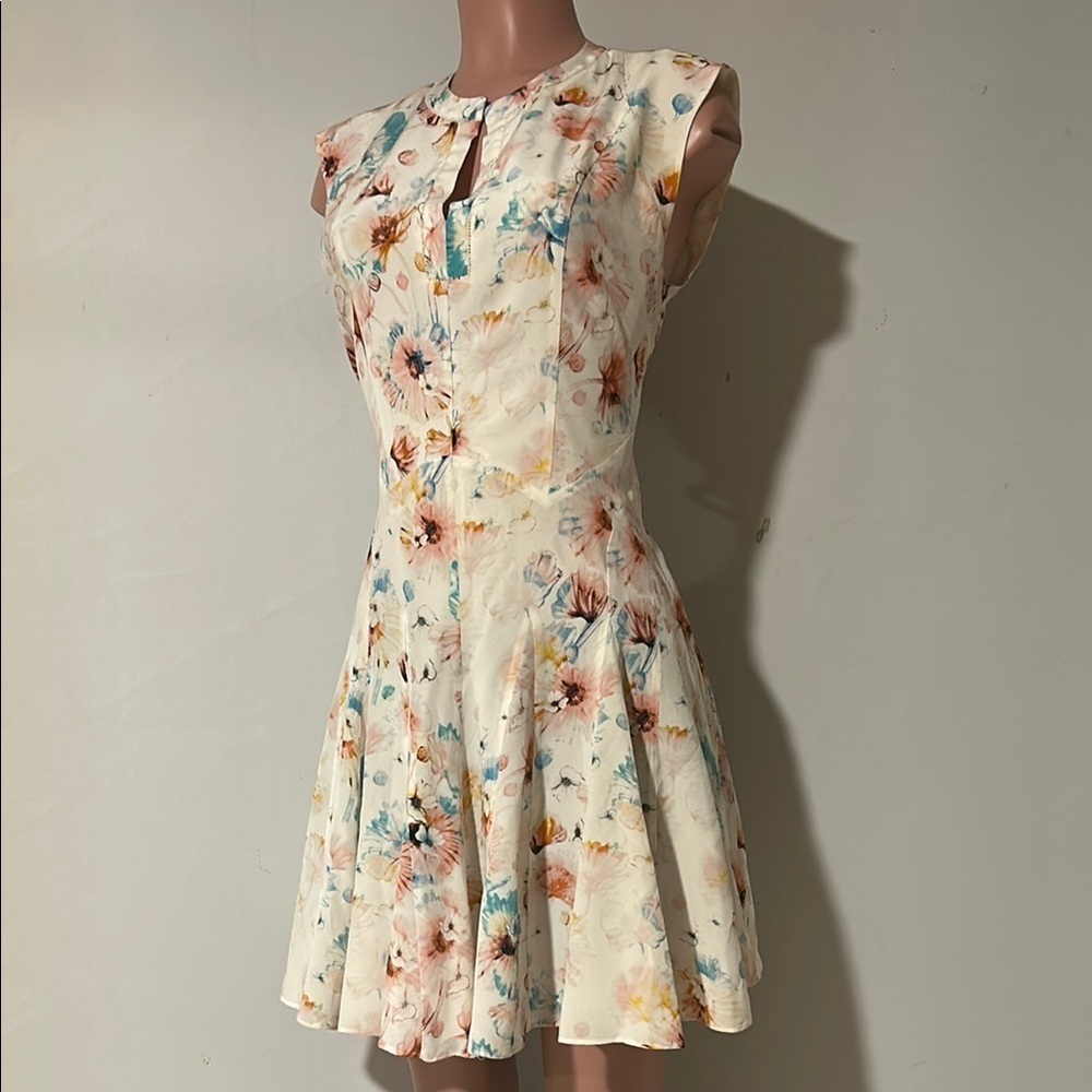 Rebecca Taylor Poppy Print 100% Silk Godet Lined Dress Size 8 - Picture 7 of 16